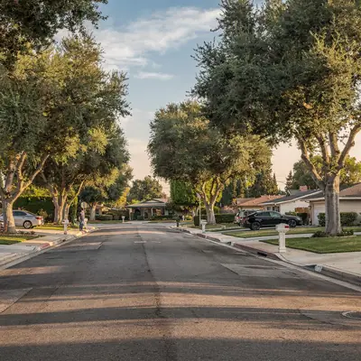 Tree-lined street of 1950s ranch homes in Downey, California