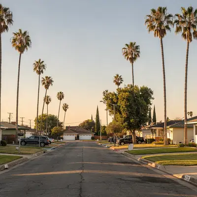 Palm-lined street of midcentury homes in Hawthorne, California
