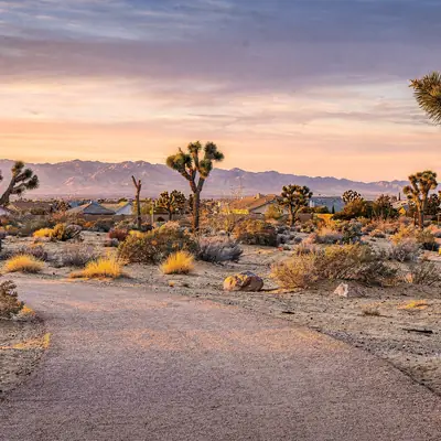 Joshua trees along a path in the Prime Desert Woodland Preserve in Lancaster, California