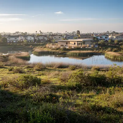 Native grasses and marsh pond at Madrona Marsh, Torrance, California