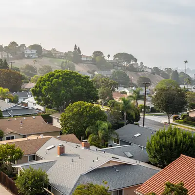 Rooftops and mature trees in Walteria, Torrance, California